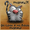 Аватар пользователя